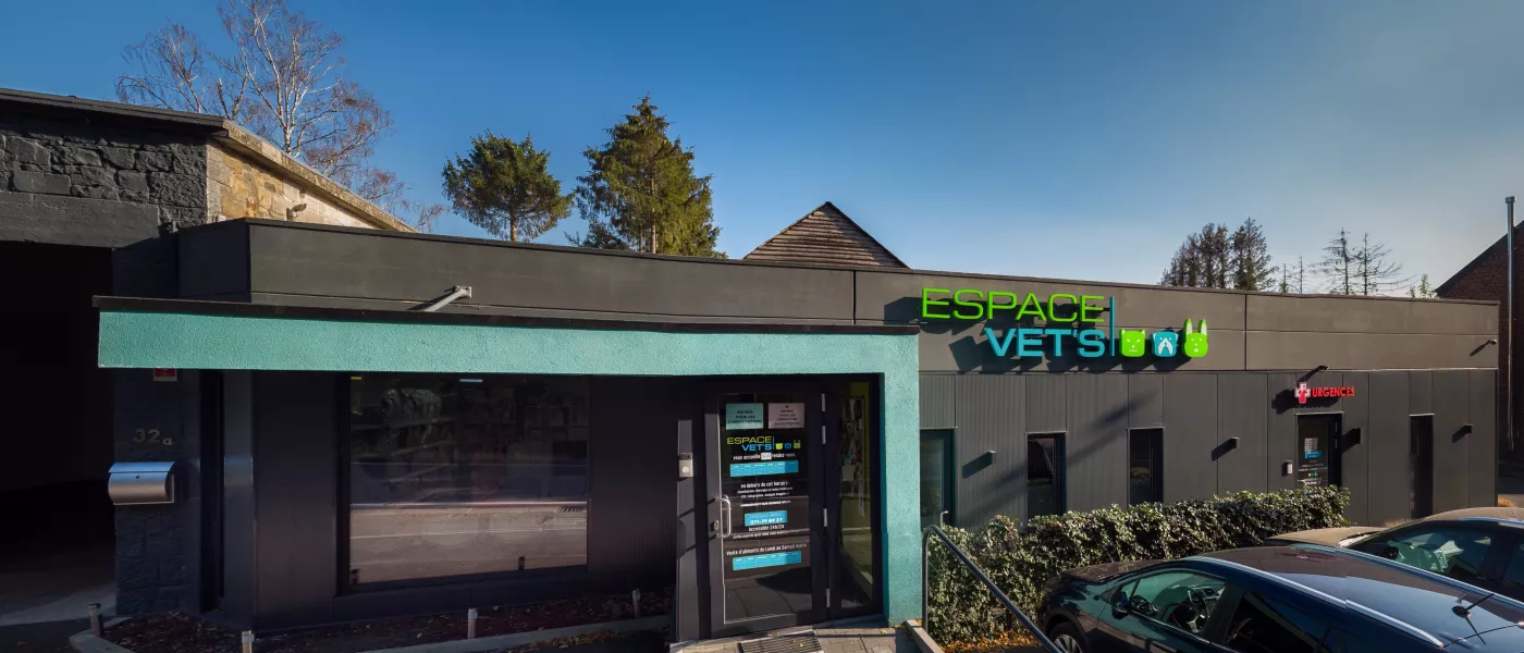 Une équipe de vétérinaires en province de Namur [a votre service]